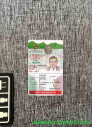 Mexico ID version 2 photolook